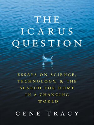 cover image of The Icarus Question